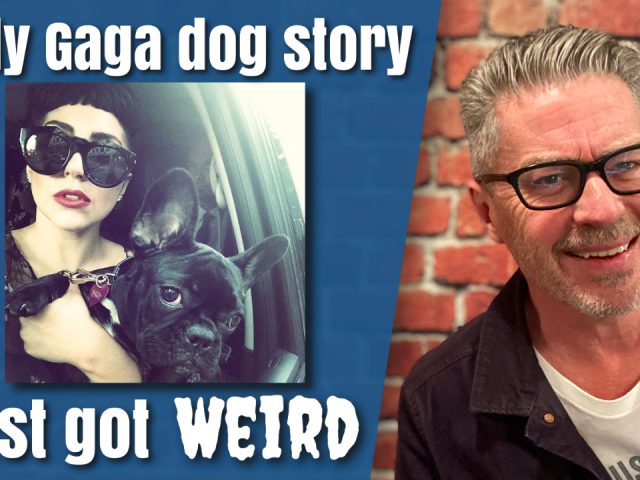 Lady Gaga Dog Story Just Got Weird [VIDEO]