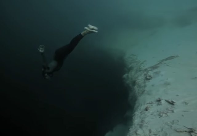 Free Diving Video: Beautiful Insanity