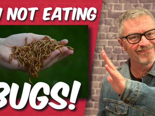 I’m Not Eating Bugs