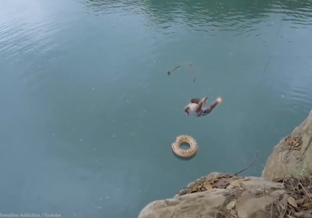 40 Insane ‘Like a Boss’ Moments Caught on Video