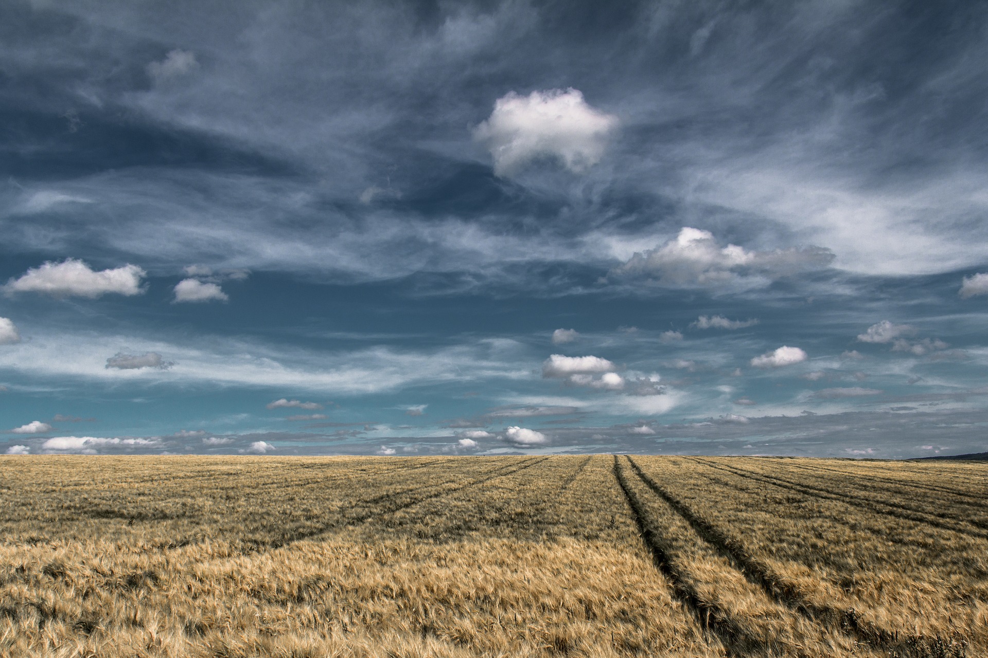 Why Is Bill Gates Buying All That Farmland? Here’s a Clue [UPDATED]