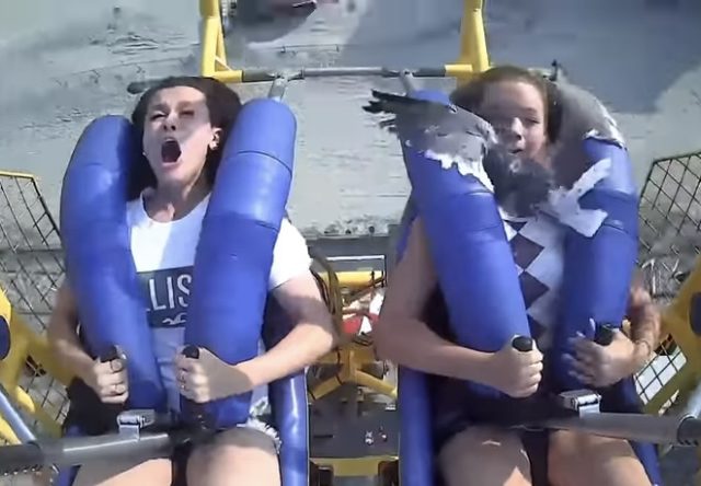 Girl on Ride Takes Seagull to Face