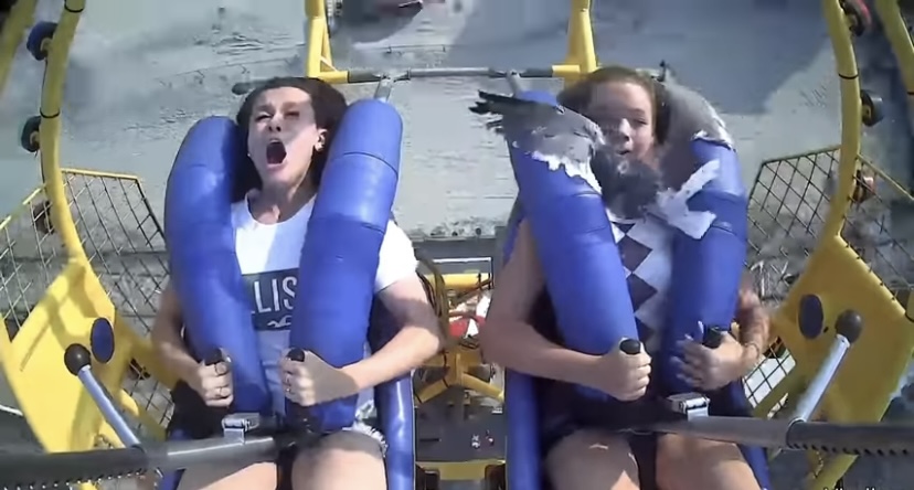 Girl on Ride Takes Seagull to Face
