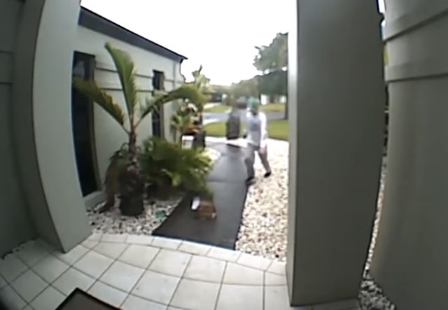 Delivery Guy Kicks Food