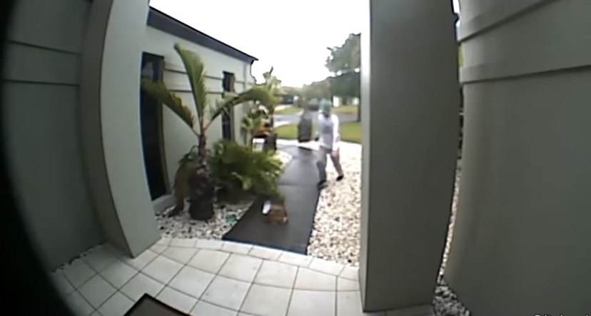 Delivery Guy Kicks Food