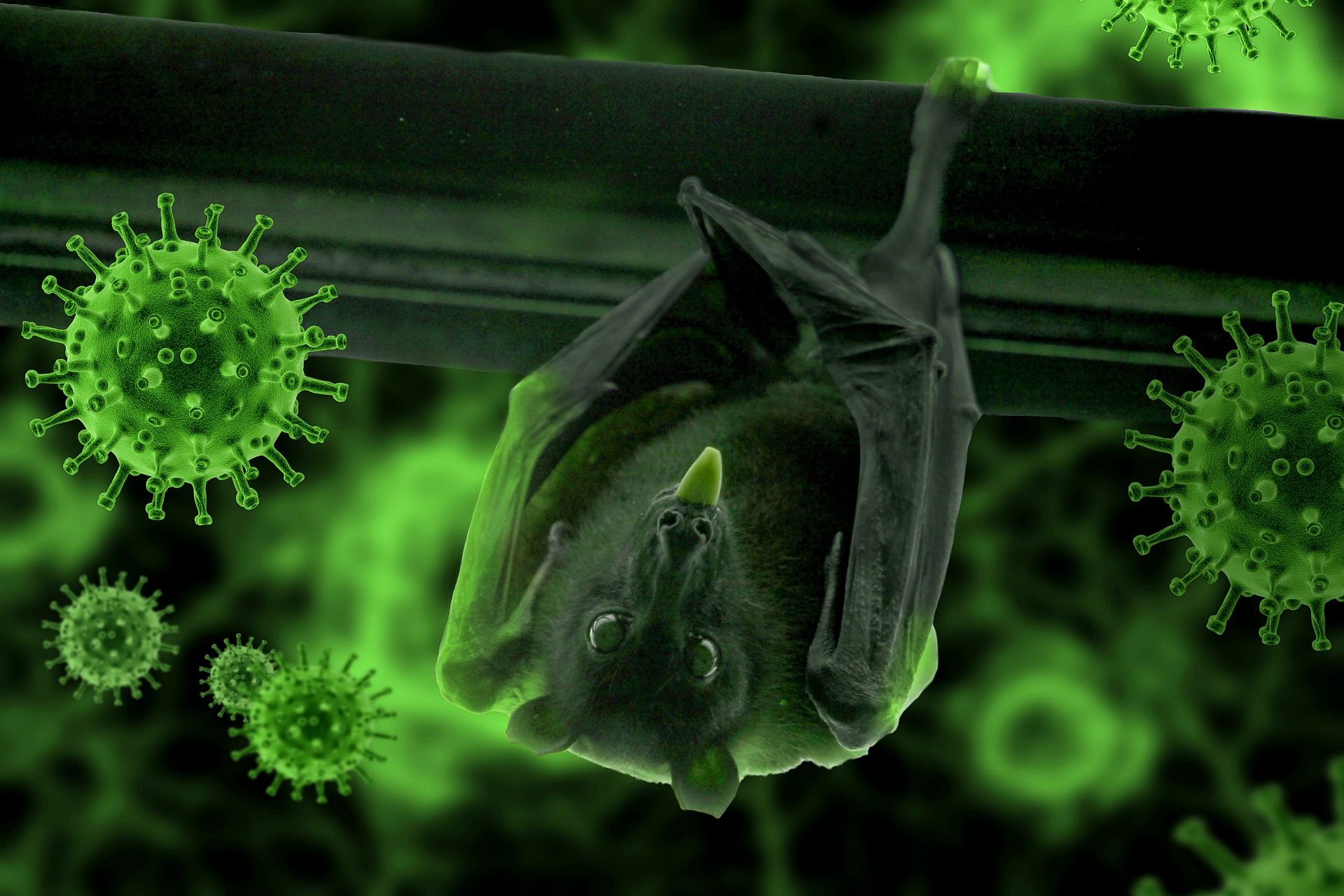 The Wuhan Lab Had Big Plans for Coronaviruses