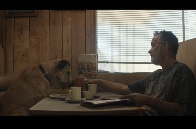 ‘Finch’ Trailer: Tom Hanks, ‘WALL-E’ & ‘Castaway’ Had a Baby!