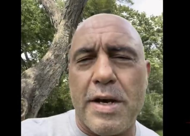 Joe Rogan Is Alive & That Seems to Have Some People Upset