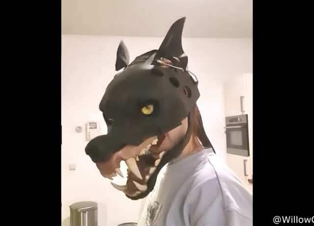 Dude Made This Wolfman Halloween Mask!
