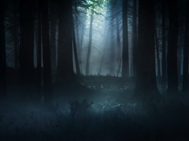 Elden Ring – Cinematic Trailer Is Badass Too!