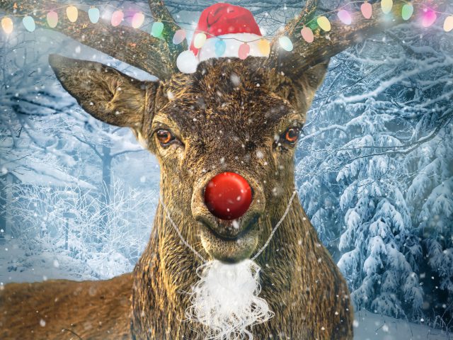 Keith Richards’s Quality Cover of ‘Run Rudolph Run’