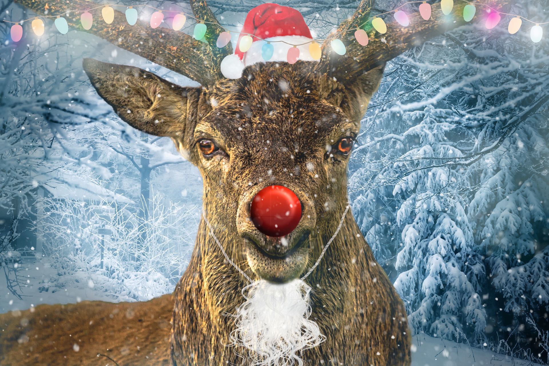 Keith Richards’s Quality Cover of ‘Run Rudolph Run’