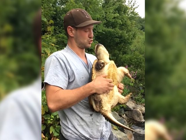 Hint: Don’t Kiss the Snapping Turtle