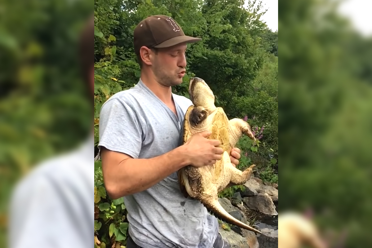 Hint: Don’t Kiss the Snapping Turtle