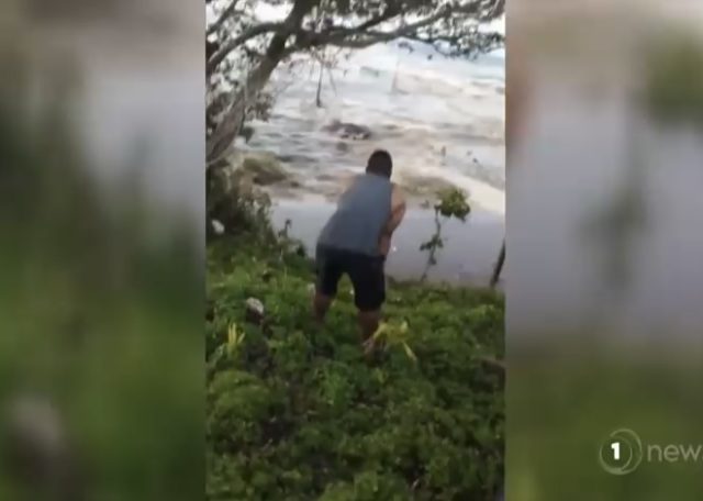Video Captures Moment of Volcano Eruption on Tonga & Tsunami That Followed