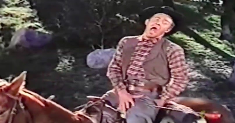 The Wilhelm Scream