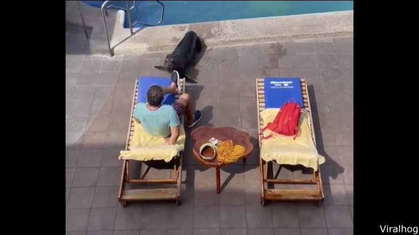 RAF! Here’s today’s Random Awesome Finds