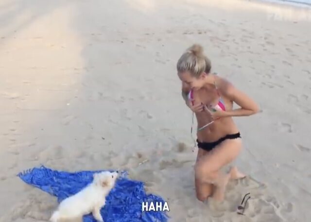 Let’s enjoy these hilarious beach fails. (video)