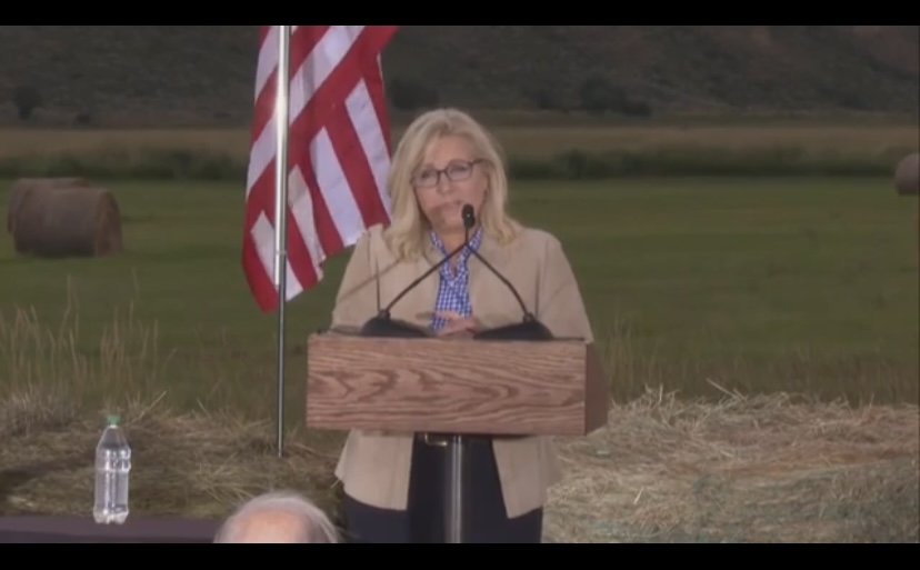 What’s Liz Cheney’s next move? Money. Lots of money (video)