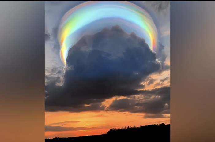 Random Awesome Finds. Here's today's RAF! - The Loftus Party