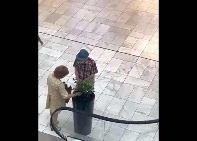 When elderly attack! Older couple steal plants at mall! (video)