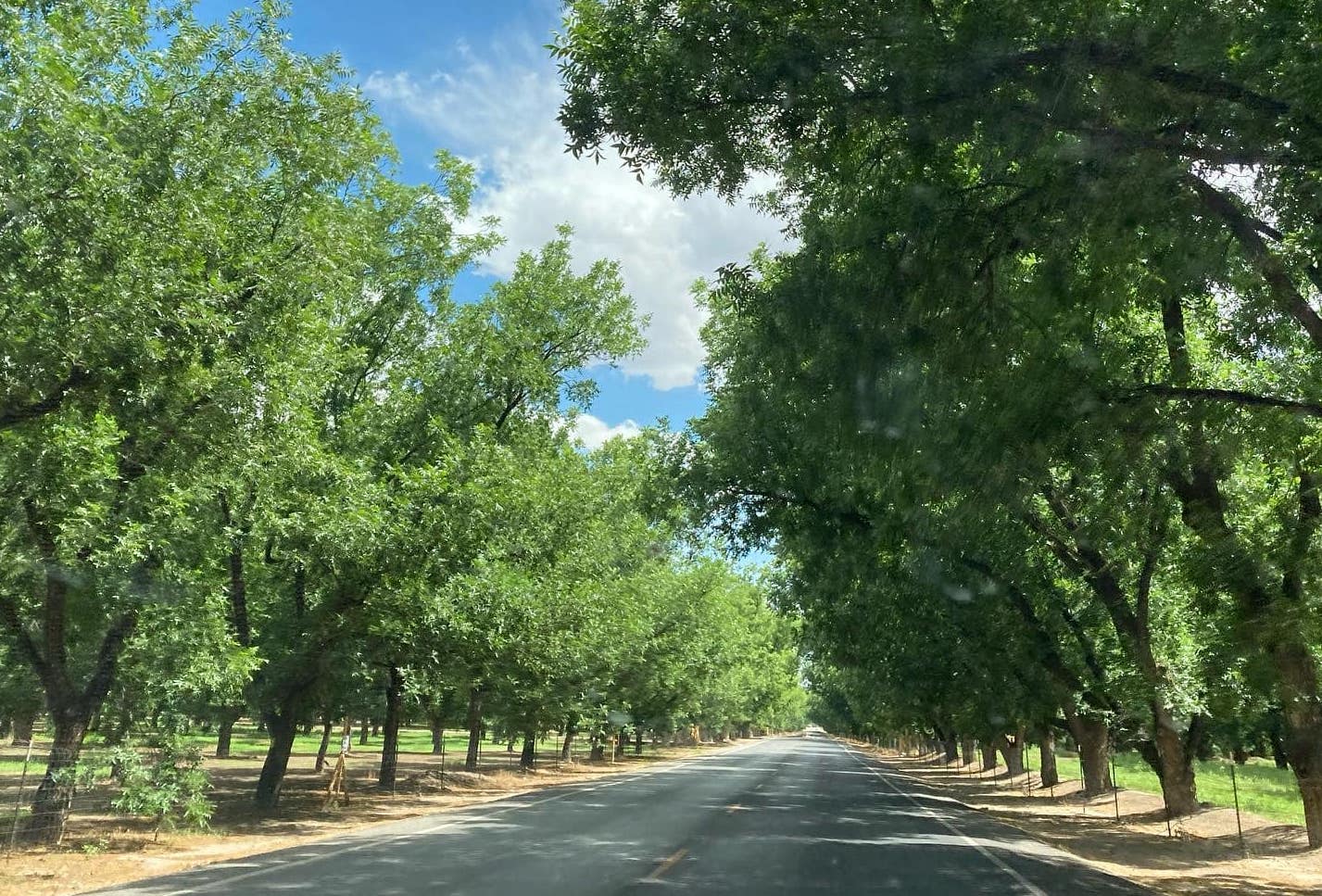 Easy Goin’ Road Trip Music for Autumn Drives