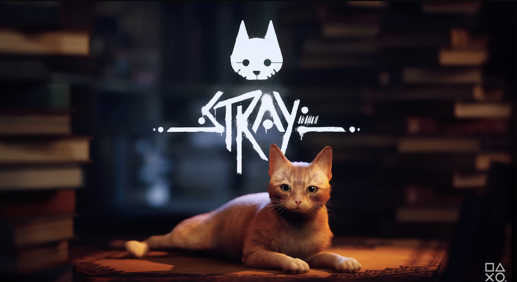 So, you wanna be a kitty cat? Now you can & it’s pretty awesome! ‘Stray’ Review for PS5.