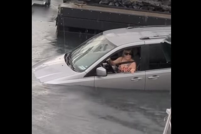 The Dumbest Driver ever? Yes. (video)