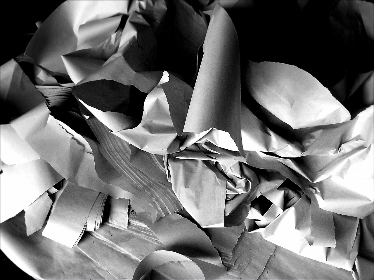 The Loftus Party podcast #385: Ripping the Bureaucracy to Shreds While We Still Can.