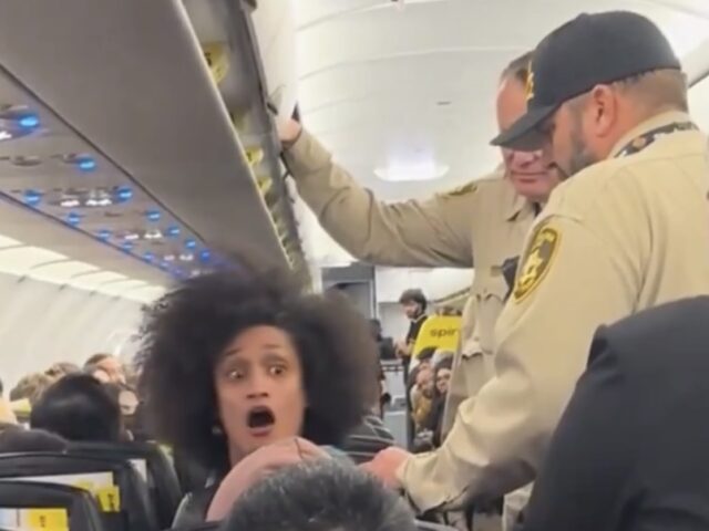 Spirit Airlines & the new queen of unruly passengers. (video)