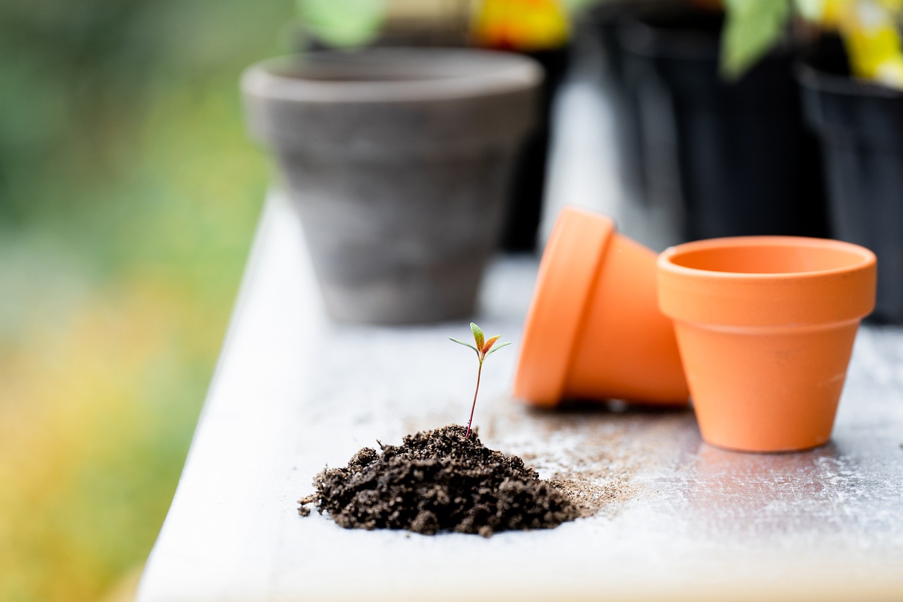 Are we supposed to stop backyard gardening?  (video)