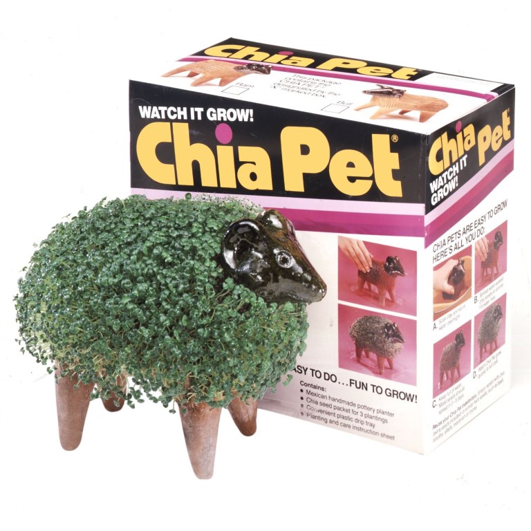 Chia Pets. No Christmas was complete without one.