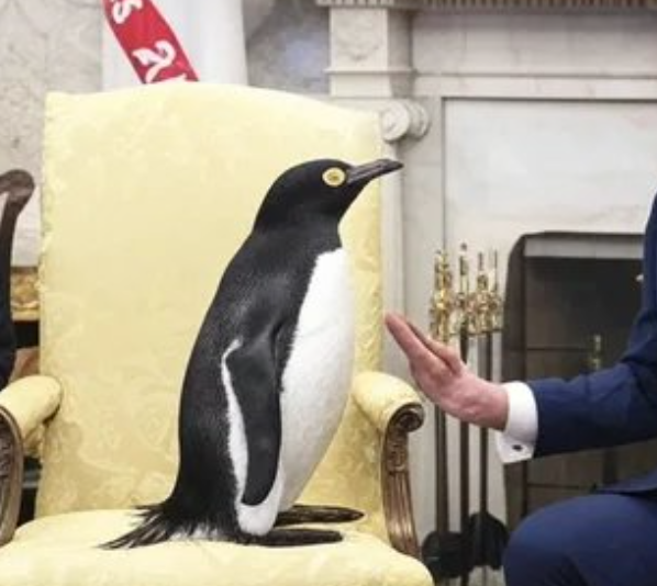 The Week in Memes – Teslas ‘n’ Tariffs Edition