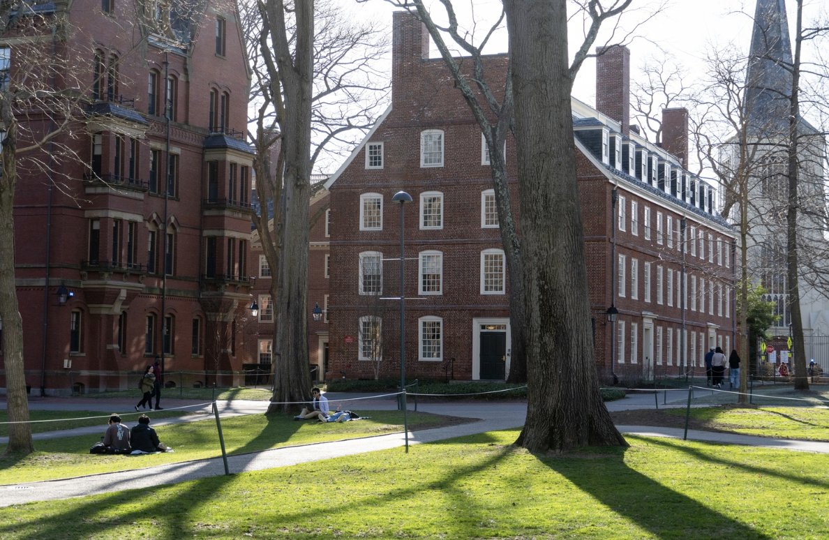 Harvard is the newest contestant on FAFO!