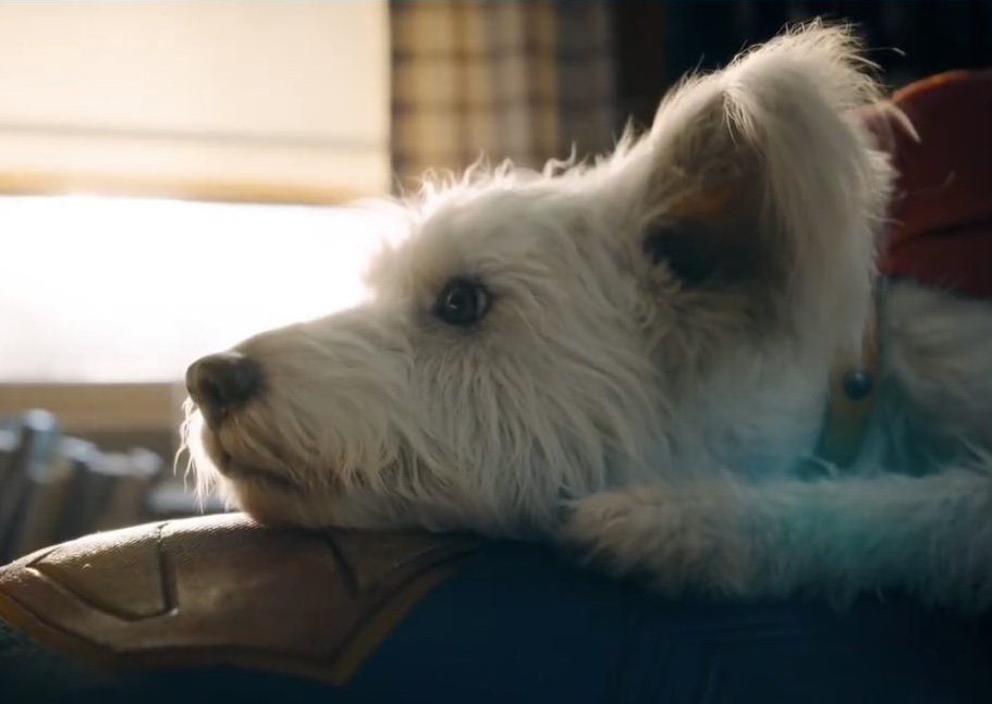 Krypto gets ‘Fixed’ and more good news.