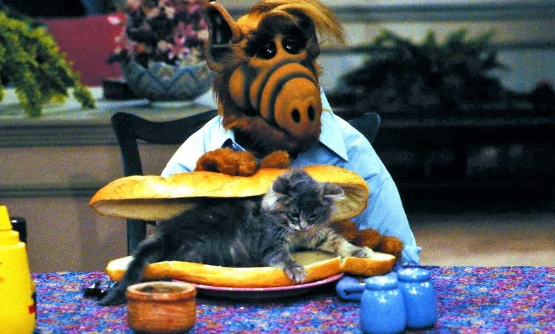 ALF