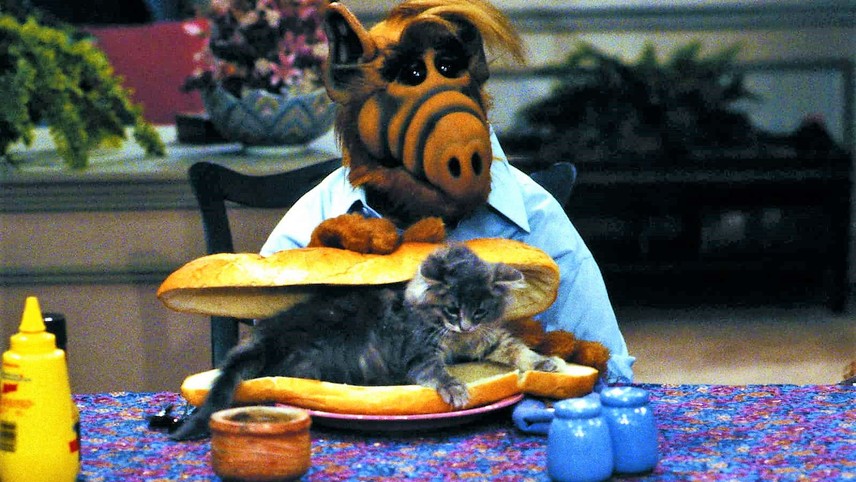 ALF. When America met Gordon Shumway, from planet Melmac.