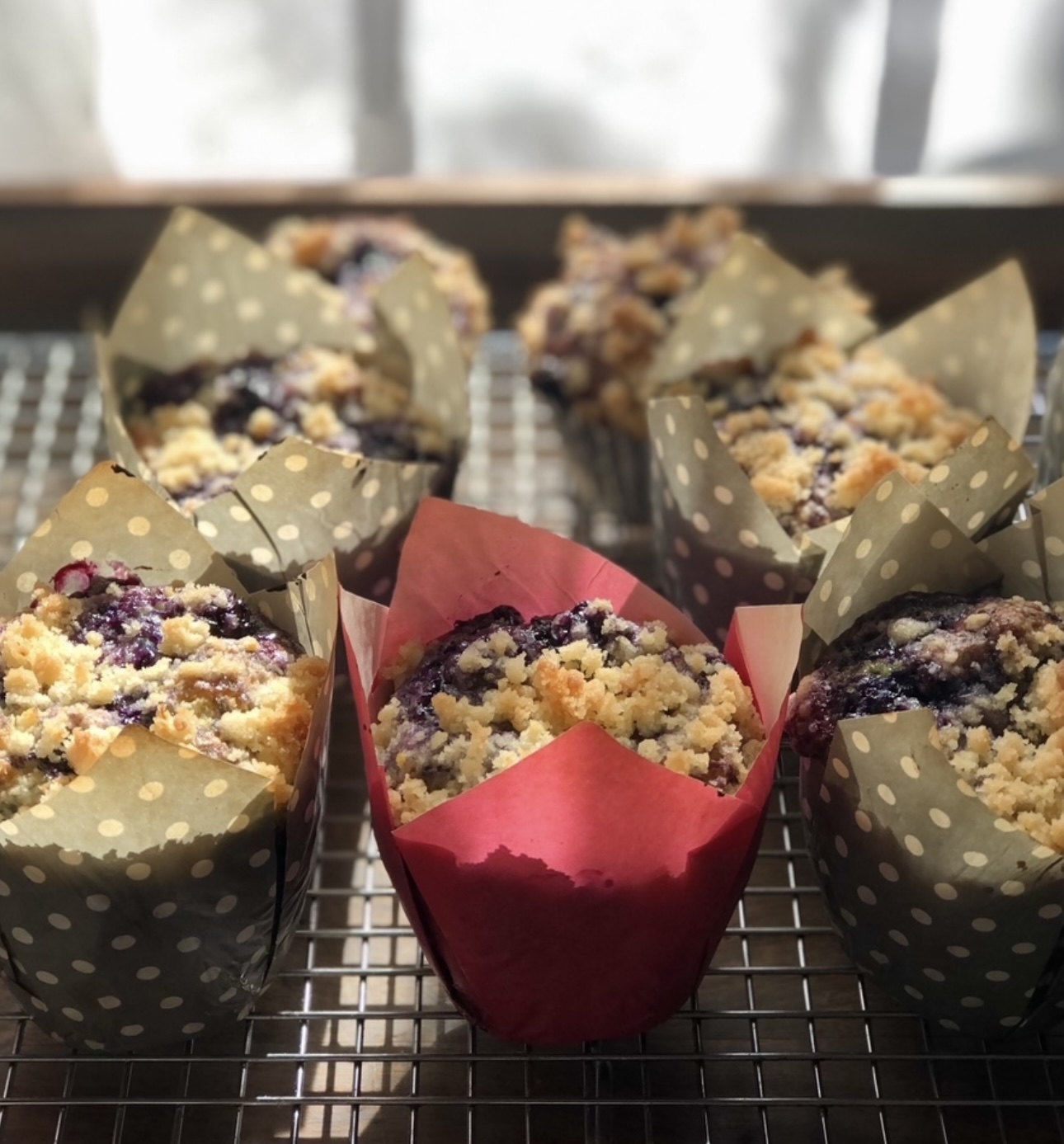 The best blueberry crumble muffins