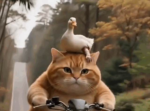 Funny AI Animations? We got em.