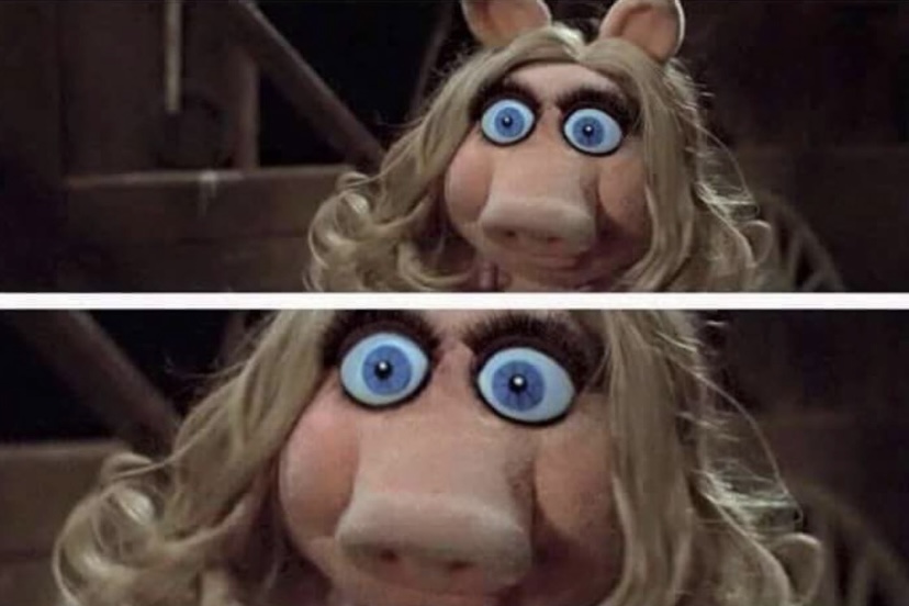 ‘Quiet Peggy’ or ‘Quiet Piggy.’ The memes are hilarious.