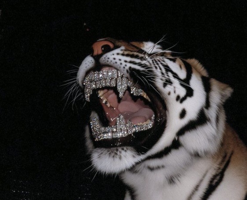 The Loftus Party podcast #521: Now we know where all our money goes. Let’s flip out on our “X” show.