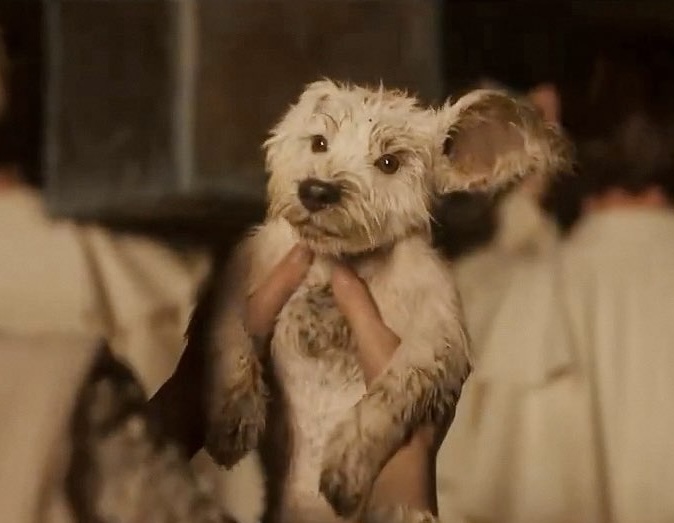 New ‘Supergirl’ Trailer. It’s better than the first one. That’s something.