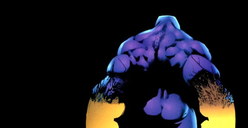 The Maxx