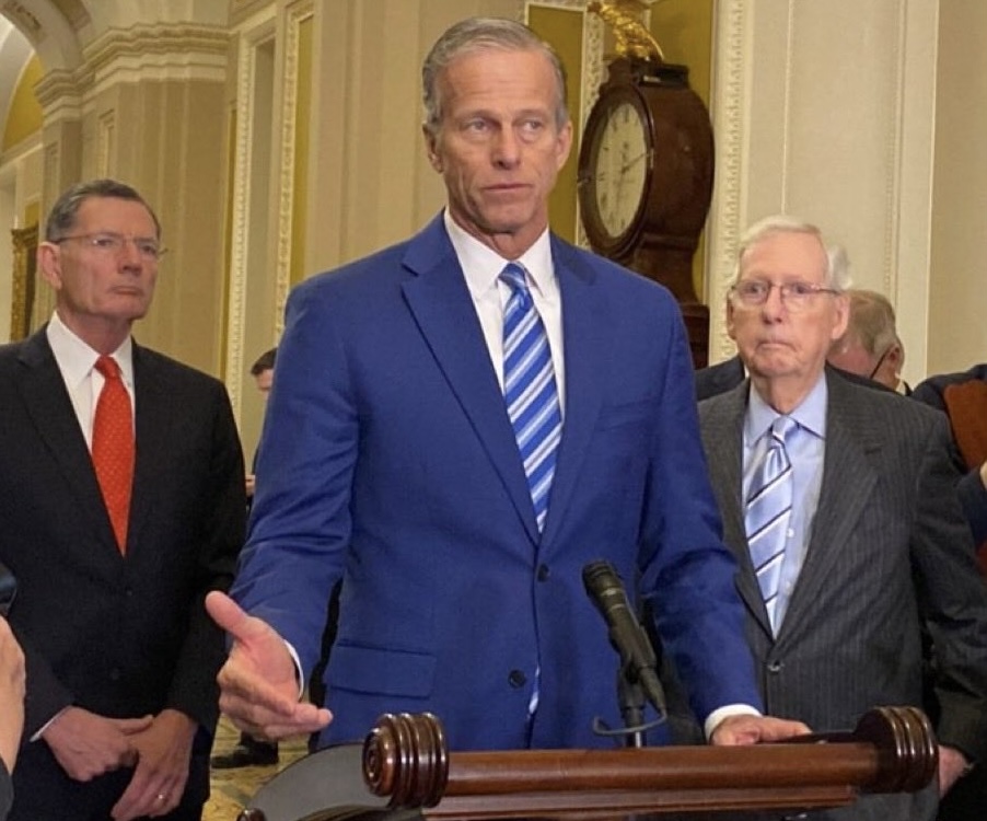 The mysterious and squishy Thune appears to be in Swamp Protection mode.