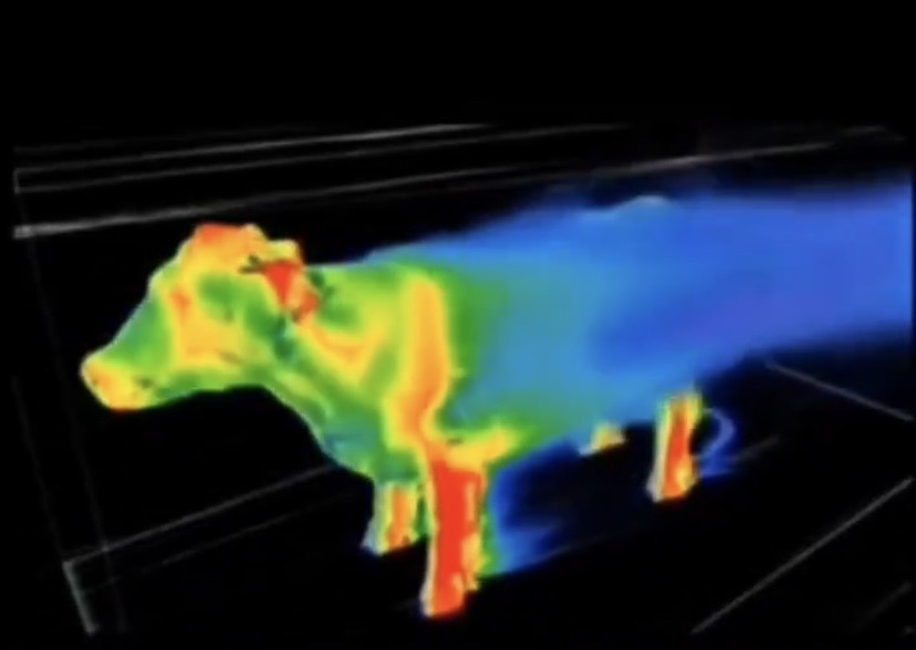 Random Awesome Finds? You bet. Behold: RAF