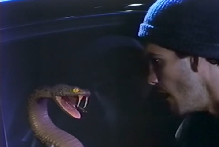 Car alarms circa the 1990s. They were cool… until they weren’t.