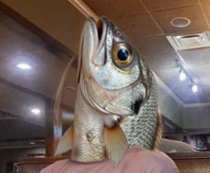 The Week in Memes – Fish Head Wife and cannons Edition of TWIM!
