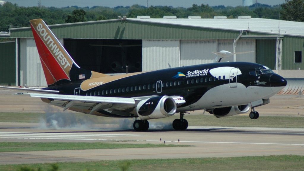 airline liveries
