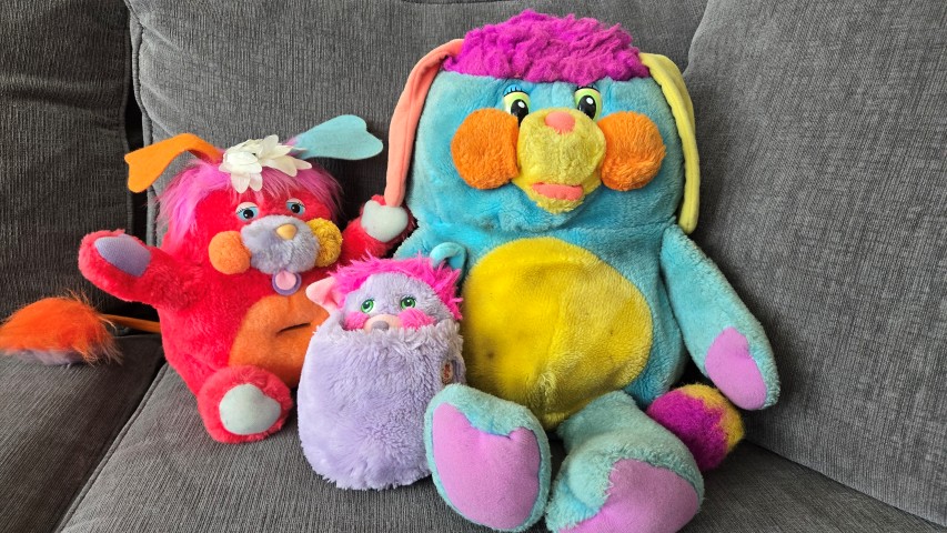 Popples
