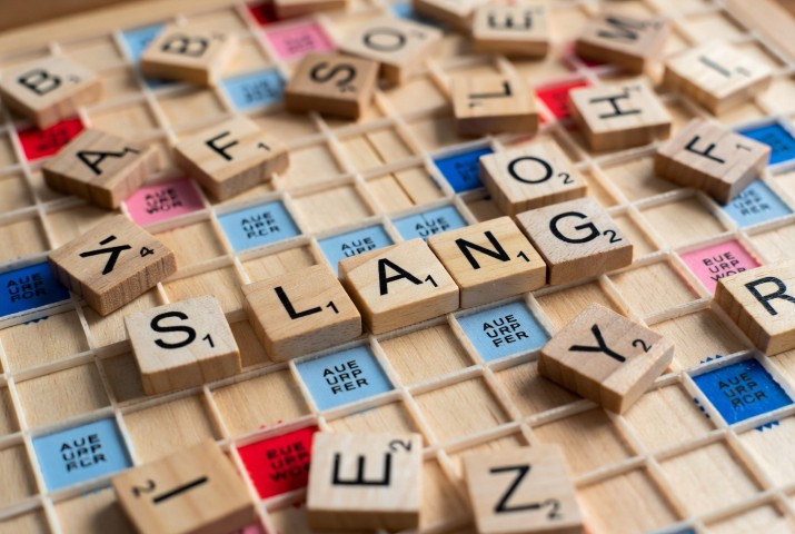 Bee’s knees, groovy & cowabunga! Your retro slang decoder awaits.